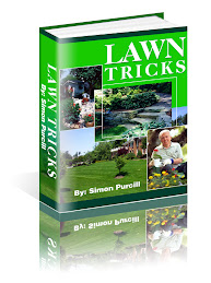 Lawn Tricks