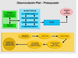 DESVINCULACION PLAN-PRESUPUESTO