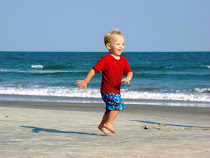 Litchfield Beach 2008