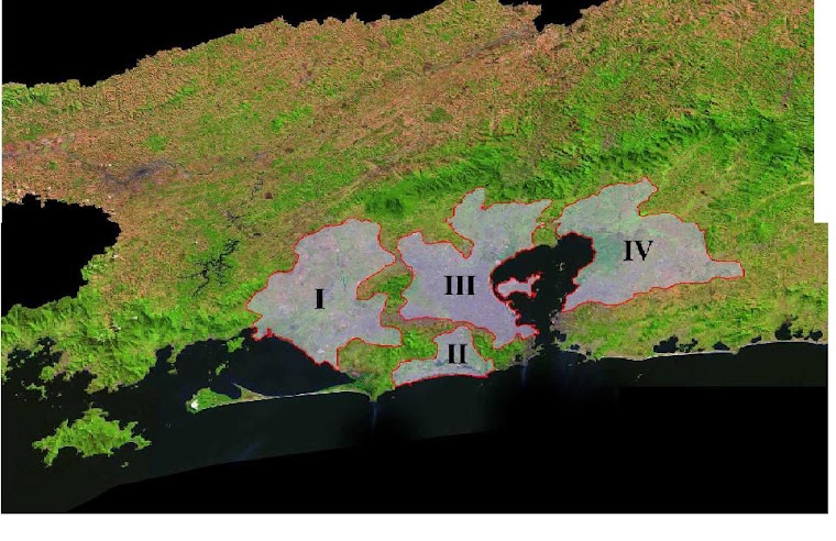 DIVISÃO DA BACIA AEREA III - METROPOLITANA