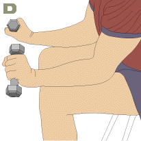 Reverse Single Dumbbell Spider Reverse Single Dumbbell Spider