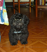 muito fofo meu filhinho!