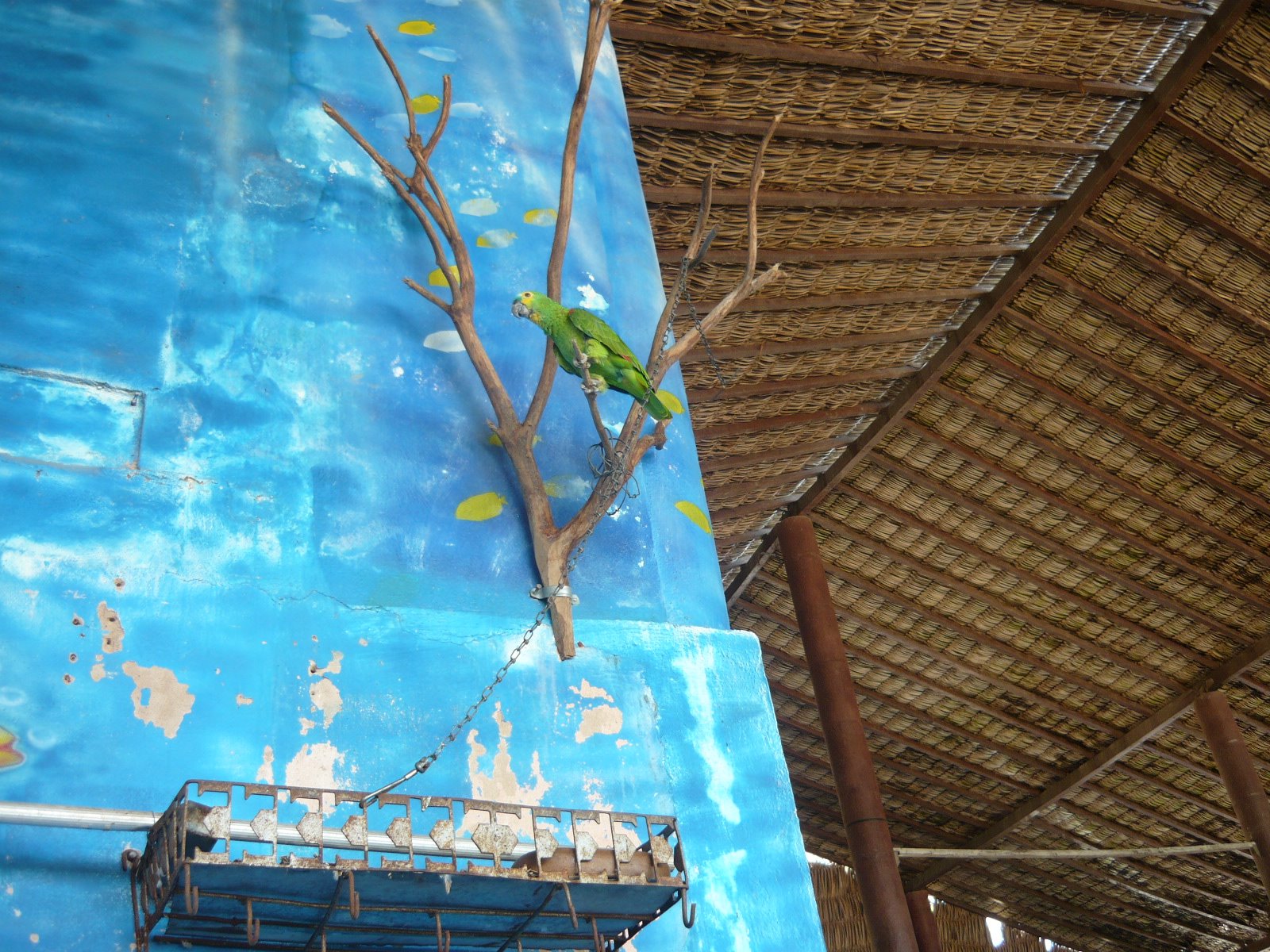 [P1000641.JPG]