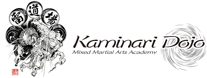Kaminari Dojo Official Blog