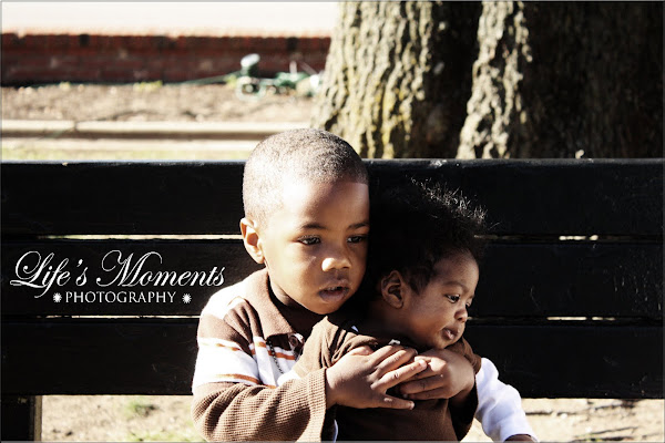 Life's Moments header