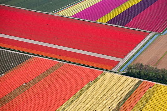 [holland.jpg]