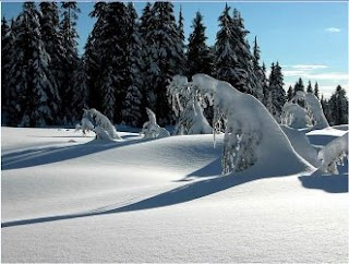Mon pays