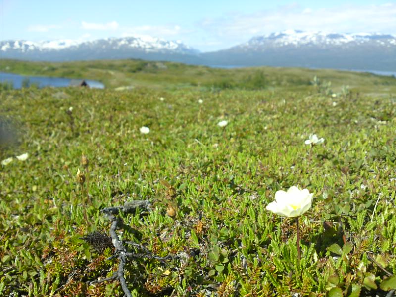 [image-upload-149-715826.jpg]