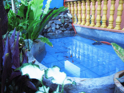 landskap kolam