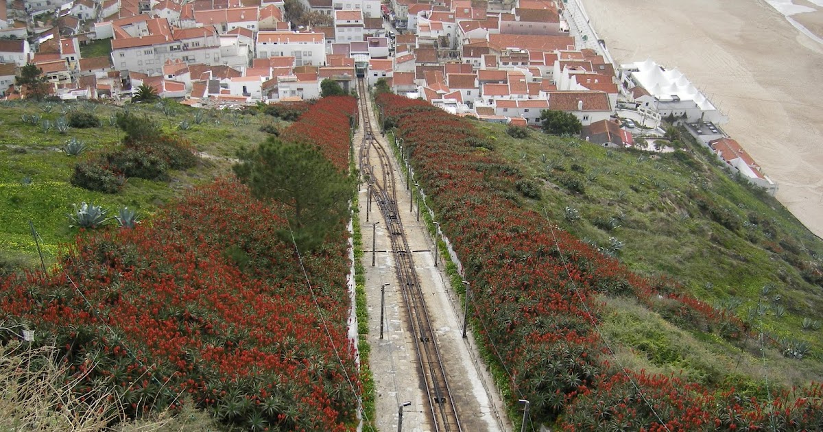 Leiria Traveling and Living