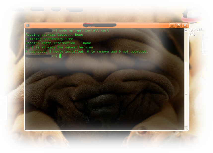 My life journey Linux cURL Tutorial and Virustotal uploader (for Linux)