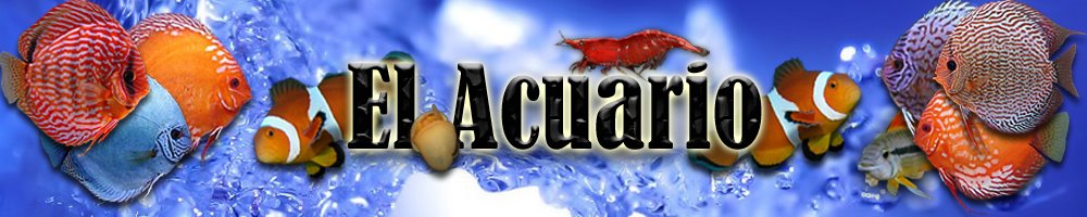 ACUARIOFILIA