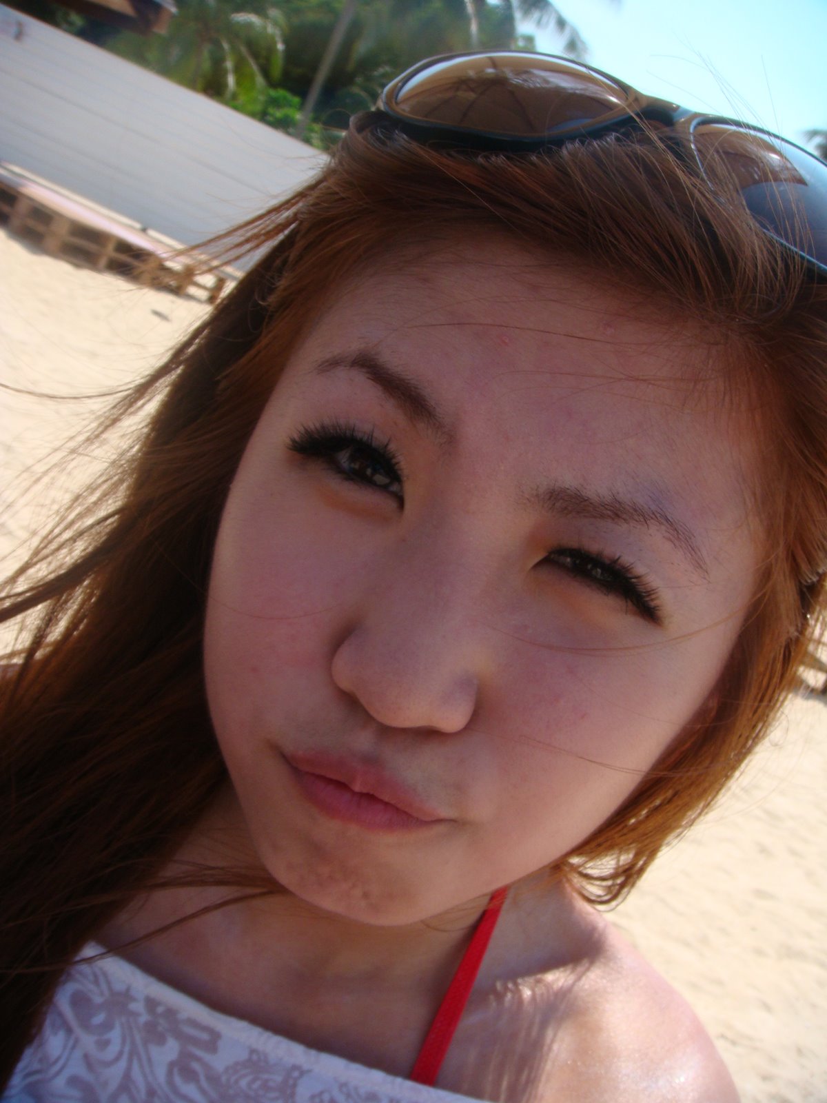 [DSC06138.JPG]