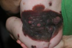 [4madeleine_trunk_8-14-08.jpg]