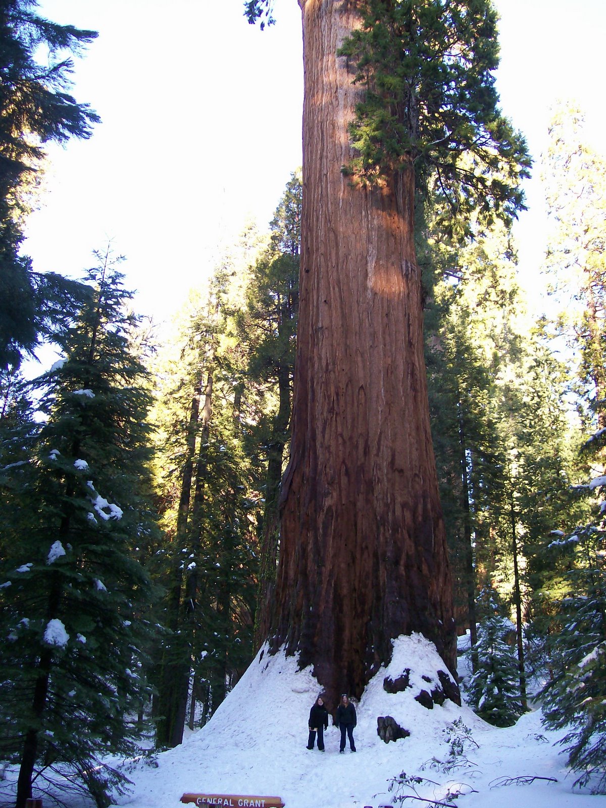 [Redwood+Grant+Jamie+and+Caryann.JPG]