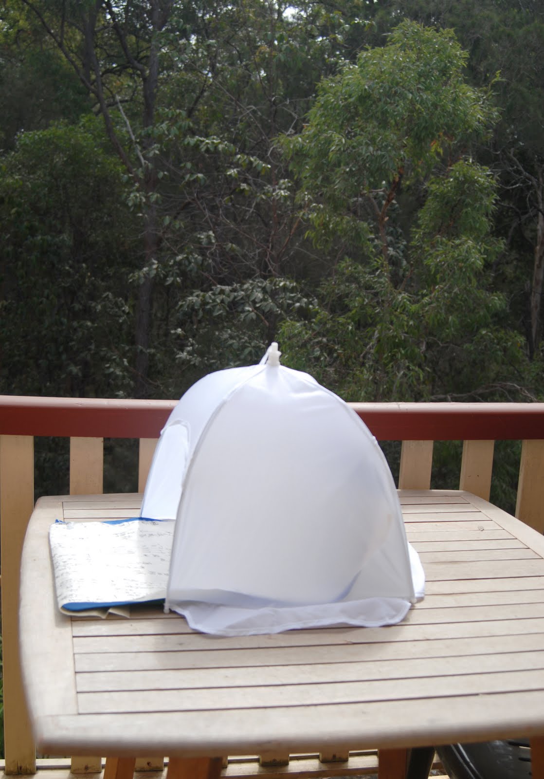 [Outdoor+Studio.JPG]