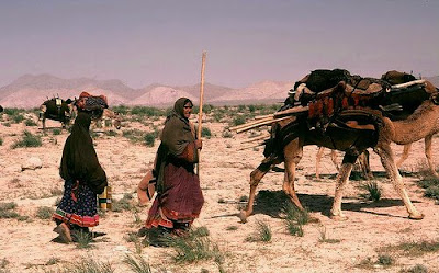 Afghan Nomads