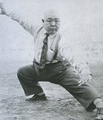 wang shu jin