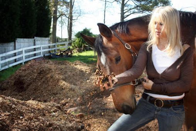 Milton Horse