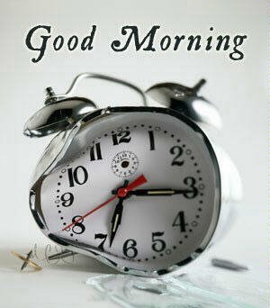 morning morning