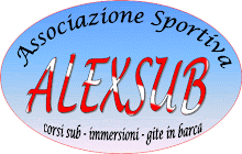 Le mie foto