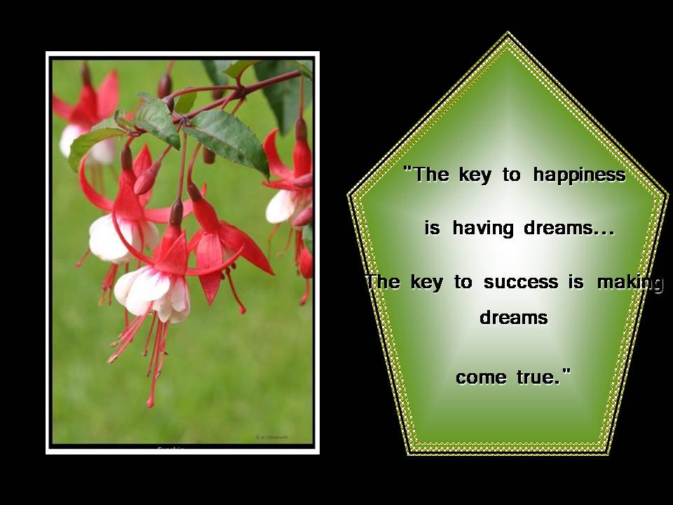 [Slide12-731463.JPG]