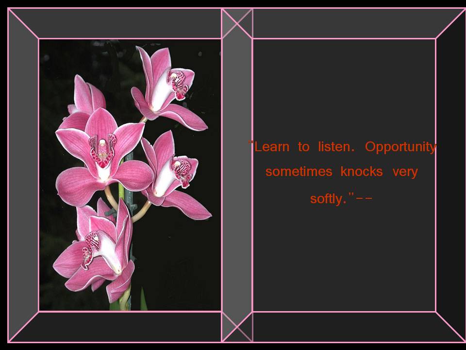 [Slide15-732280.JPG]