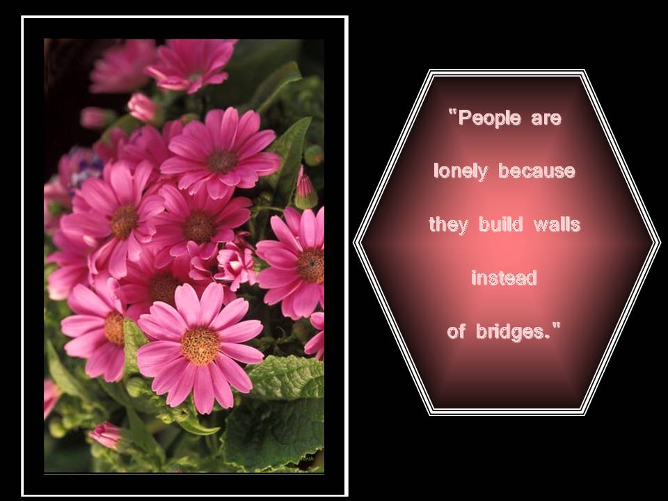 [Slide21-733906.JPG]