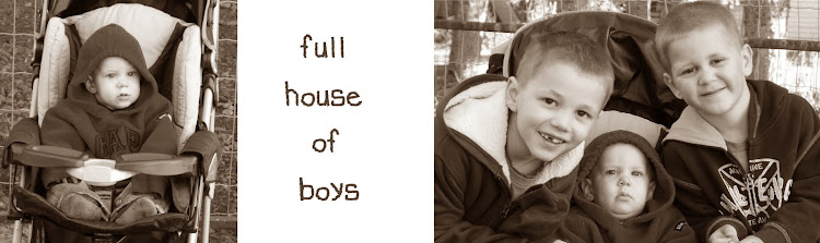 Full House of Boys