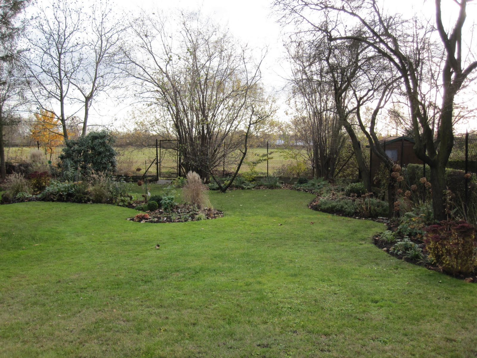 Gartenglück im Wandelgarten: November 2009