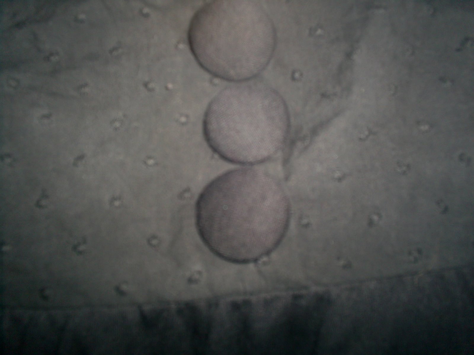[S4023817.JPG]