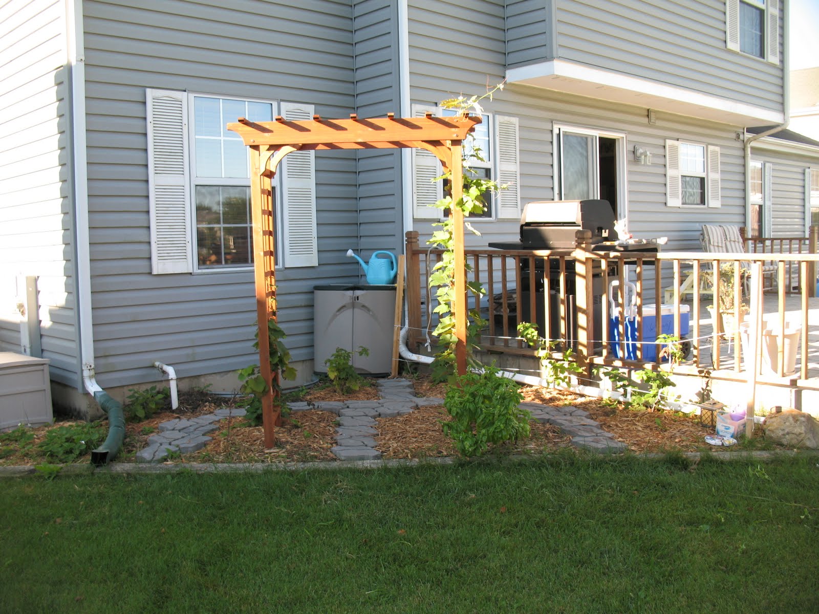 Adventures of the Unexpected Farmer Raspberries The easiest fruit you