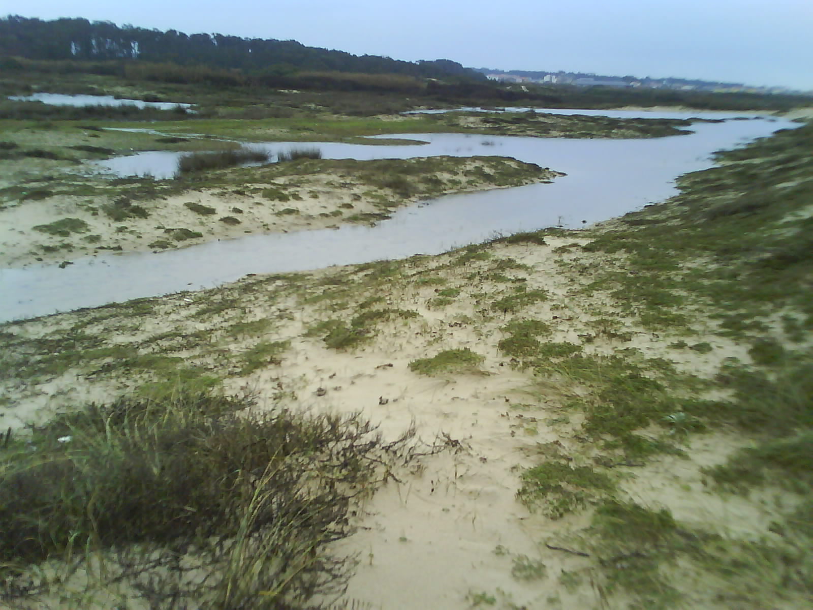 [DSC00201.JPG]