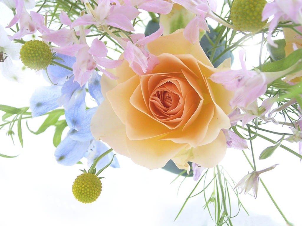 [Flowers_-_a_spring_bouquet_with_a_rose.jpg]