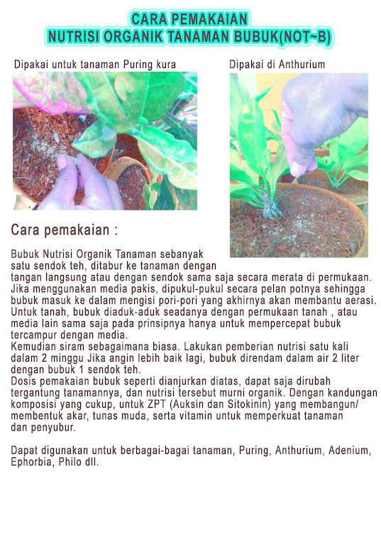 NUTRISI ORGANIK TANAMAN