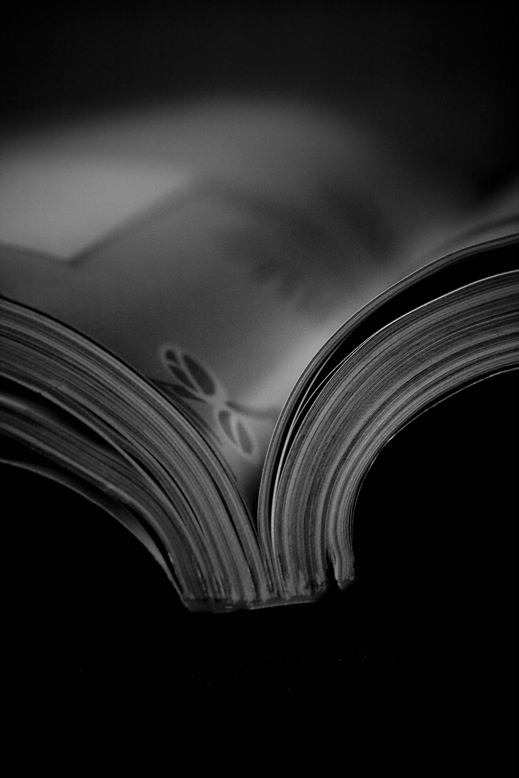 [IMG_7986revista.jpg]