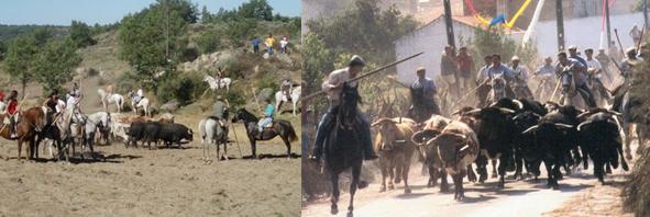 [encerro_capeias.JPG]