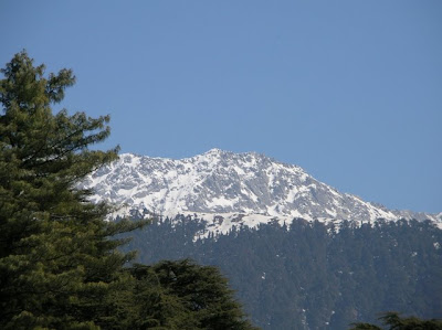 Asia, Dharamshala Travel Guide, Himacahl Pradesh, Hotel reservation, http://travelaroundtheasia.blogspot.com/, Travel Guide