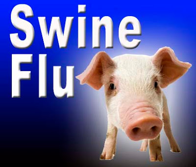 Swine Flu, influenza virus, H1N1, hog flu, Swine flu in pune kolkata usa india