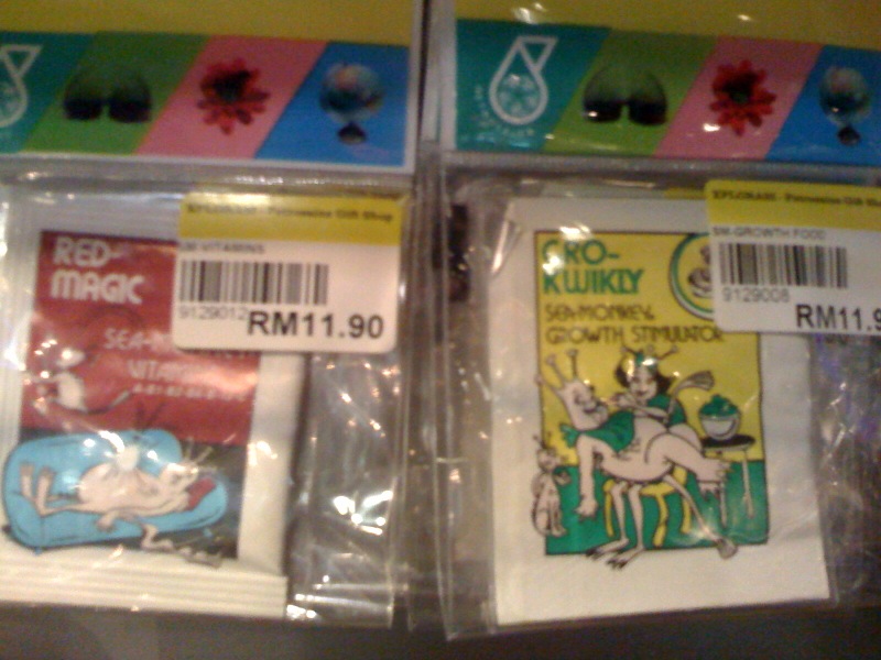 Plus Size Kitten Where to Buy Sea Monkey Food?