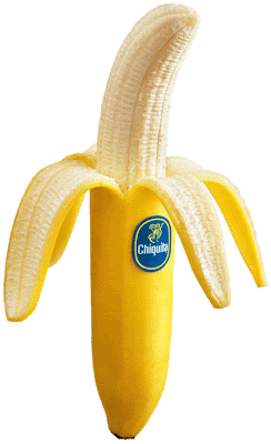Je n'aime pas tellement les bananes, mais cela me semblait être l'exemple de 'fruit pas belge du tout' le plus frappant (depuis l'indépendance du Congo belge en tout cas) Banane chiquita belge