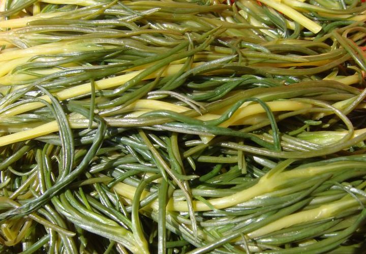 [agretti.jpg]