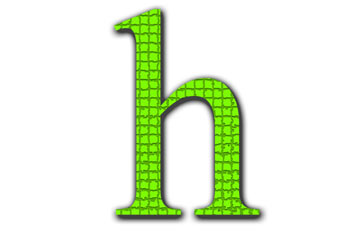 LENGUA CASTELLANA Y LITERATURA: ORTOGRAFÍA DE LA LETRA H