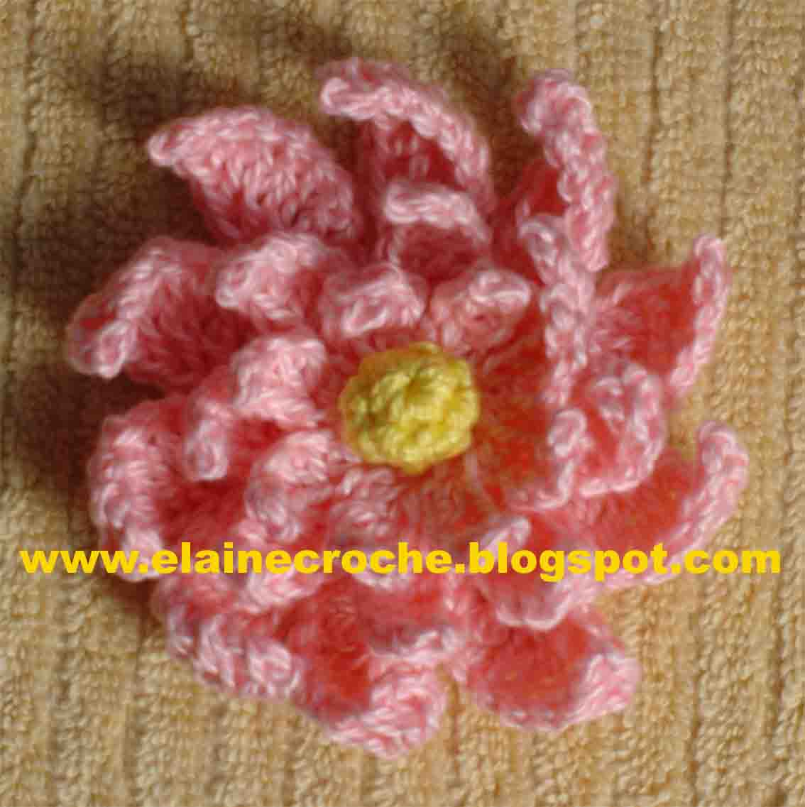 [flor4.jpg]