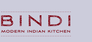 bindi modern indian kitchen