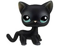 Black kitty