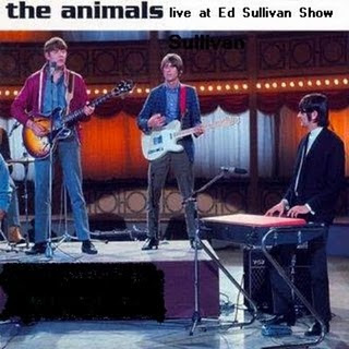 Animals Live