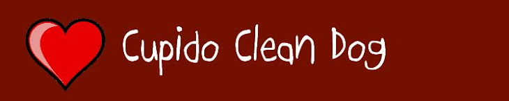 cupido cleandog