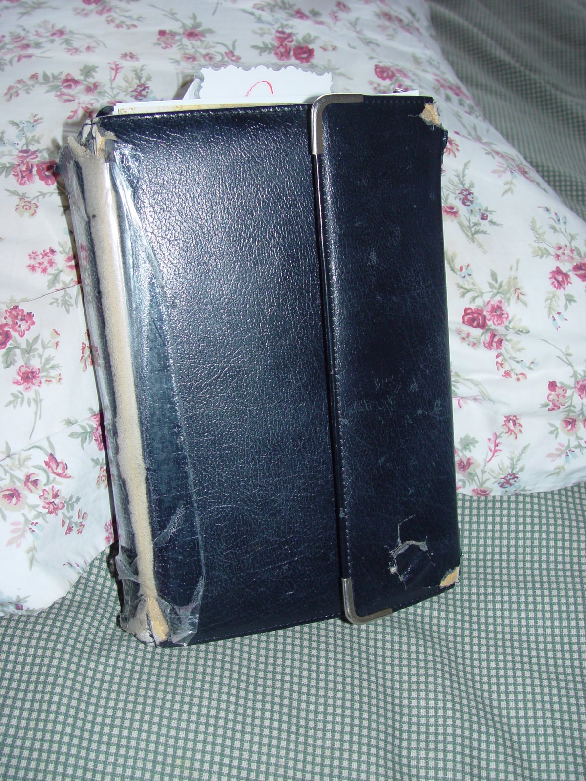 [2008-01-01+031.jpg]