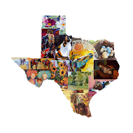 Artists of Texas website